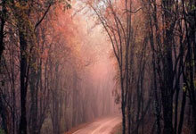 明天能否上演?大莲花赛前调试广播&大屏:中国队9号张玉宁破门.