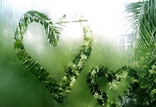 澳大利亚国脚：我们会对中国进行分析，希望复制踢印尼的胜利.