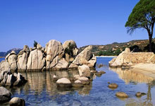 问鼎app官网:看国际网球比赛 为中国选手加油 五一小长假尽在南沙!.